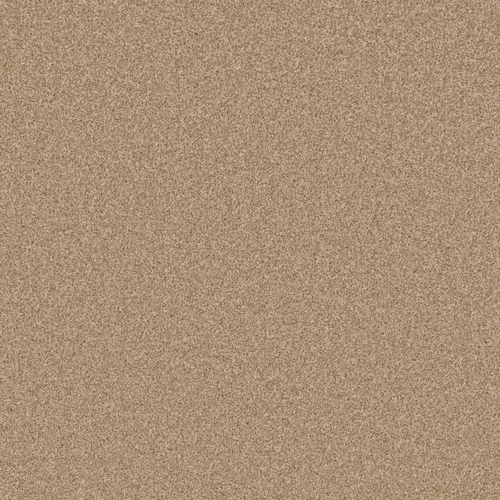 Primo Naturals Easy-Clean Twist Carpet — Cormar