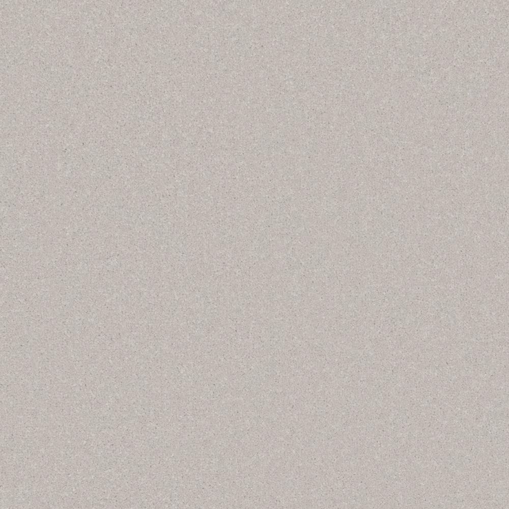 Alloy Grey