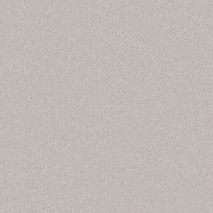 Alloy Grey