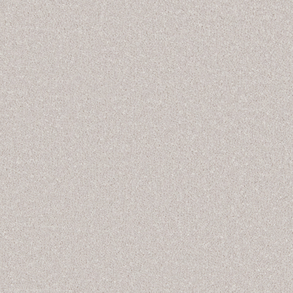 Alloy Grey