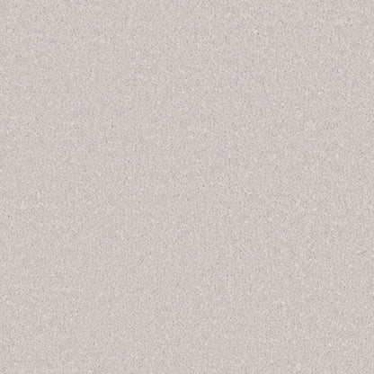 Alloy Grey