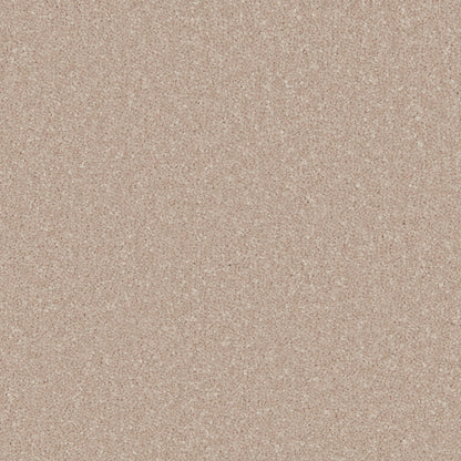 Pannacotta
