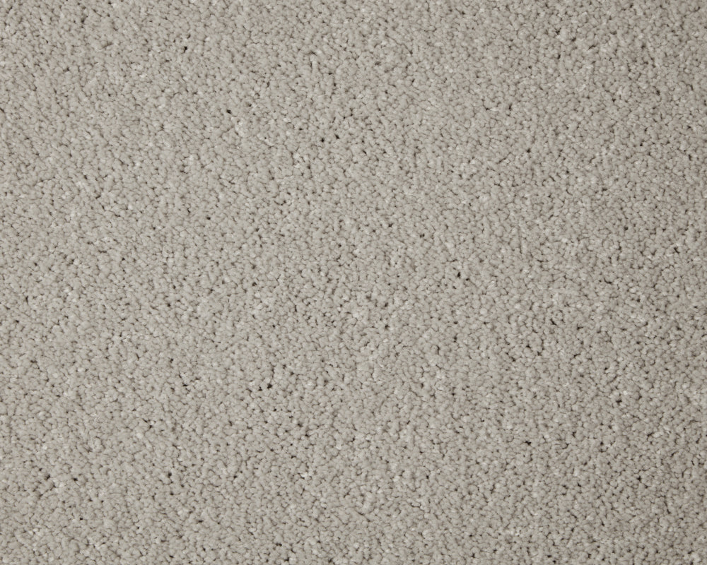 Alloy Grey