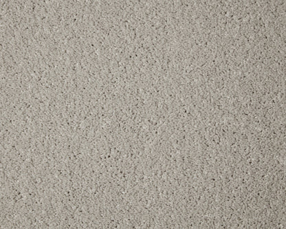 Alloy Grey