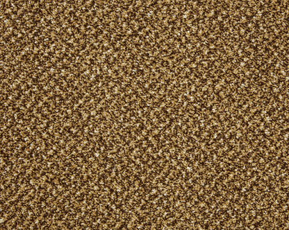 Butterscotch