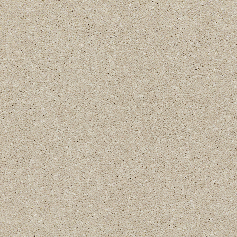 Aniseed