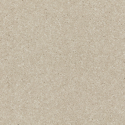 Aniseed