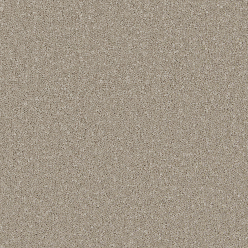 Arctic Grey