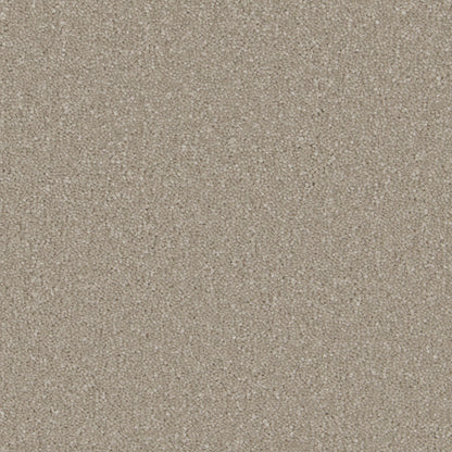 Arctic Grey