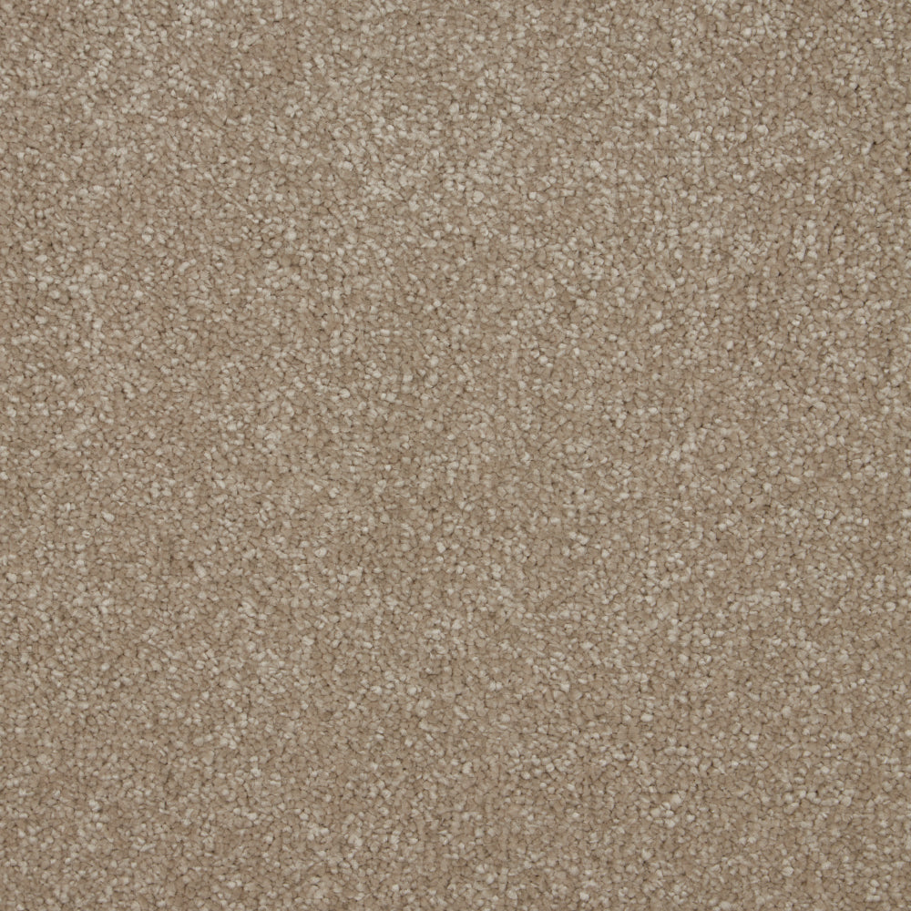 Cambrian Stone
