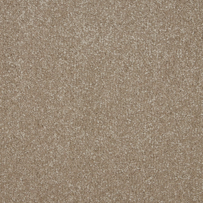 Cambrian Stone