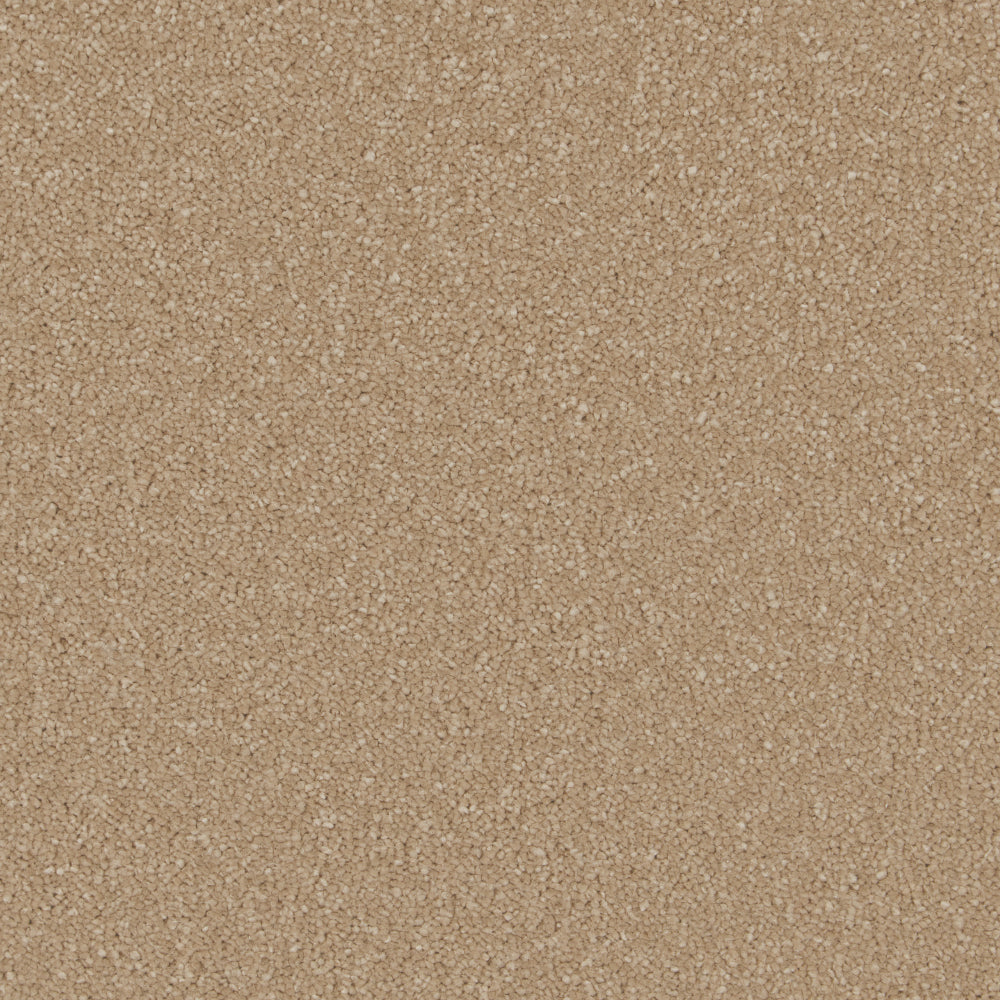 Gazelle