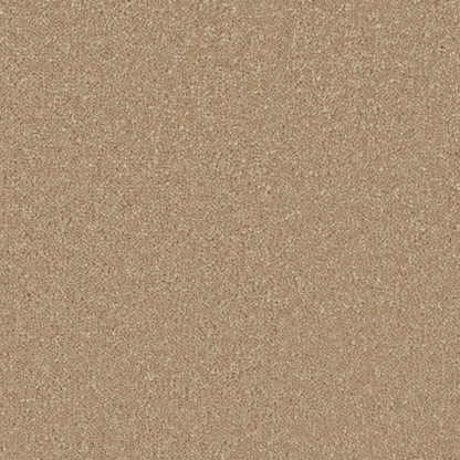 Gazelle
