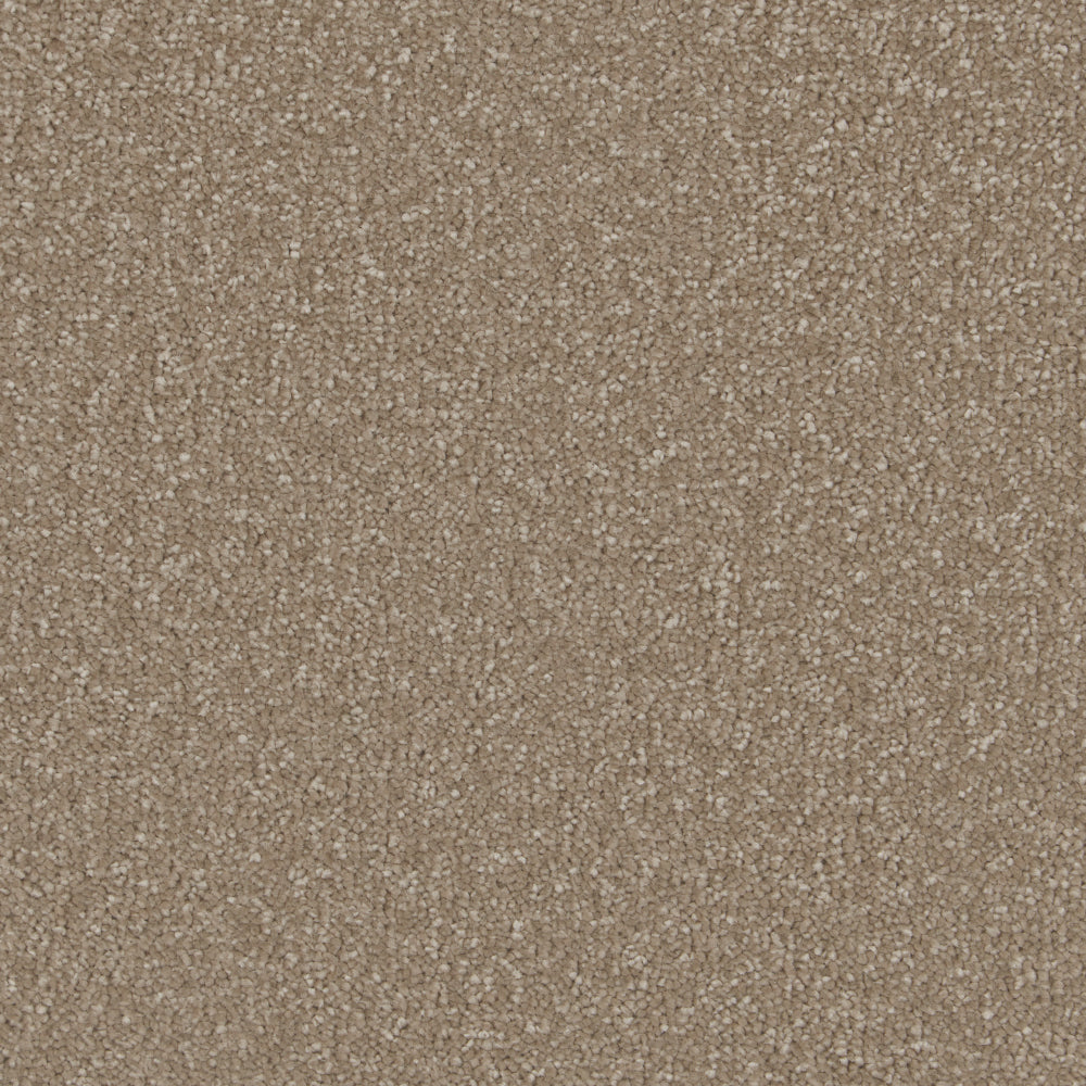 Light Taupe