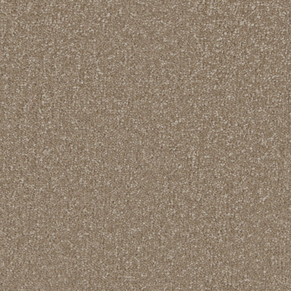 Light Taupe