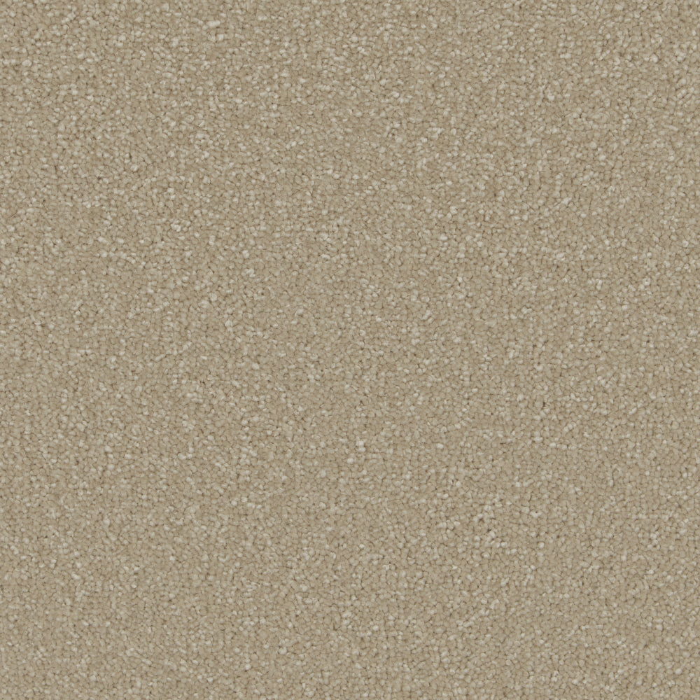 Monterey Sand
