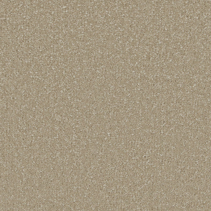 Monterey Sand