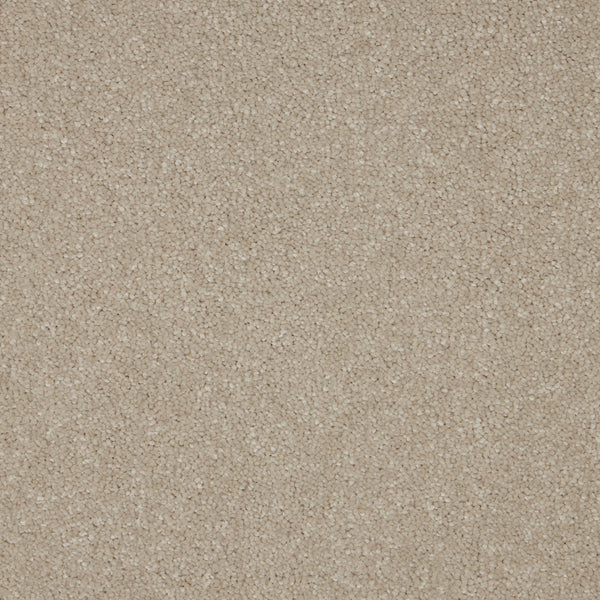 Pink & Blush Carpets