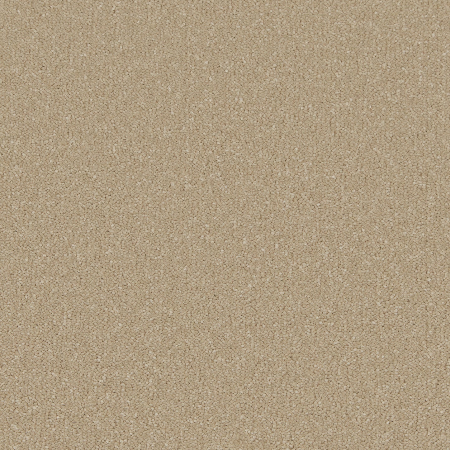 Malt