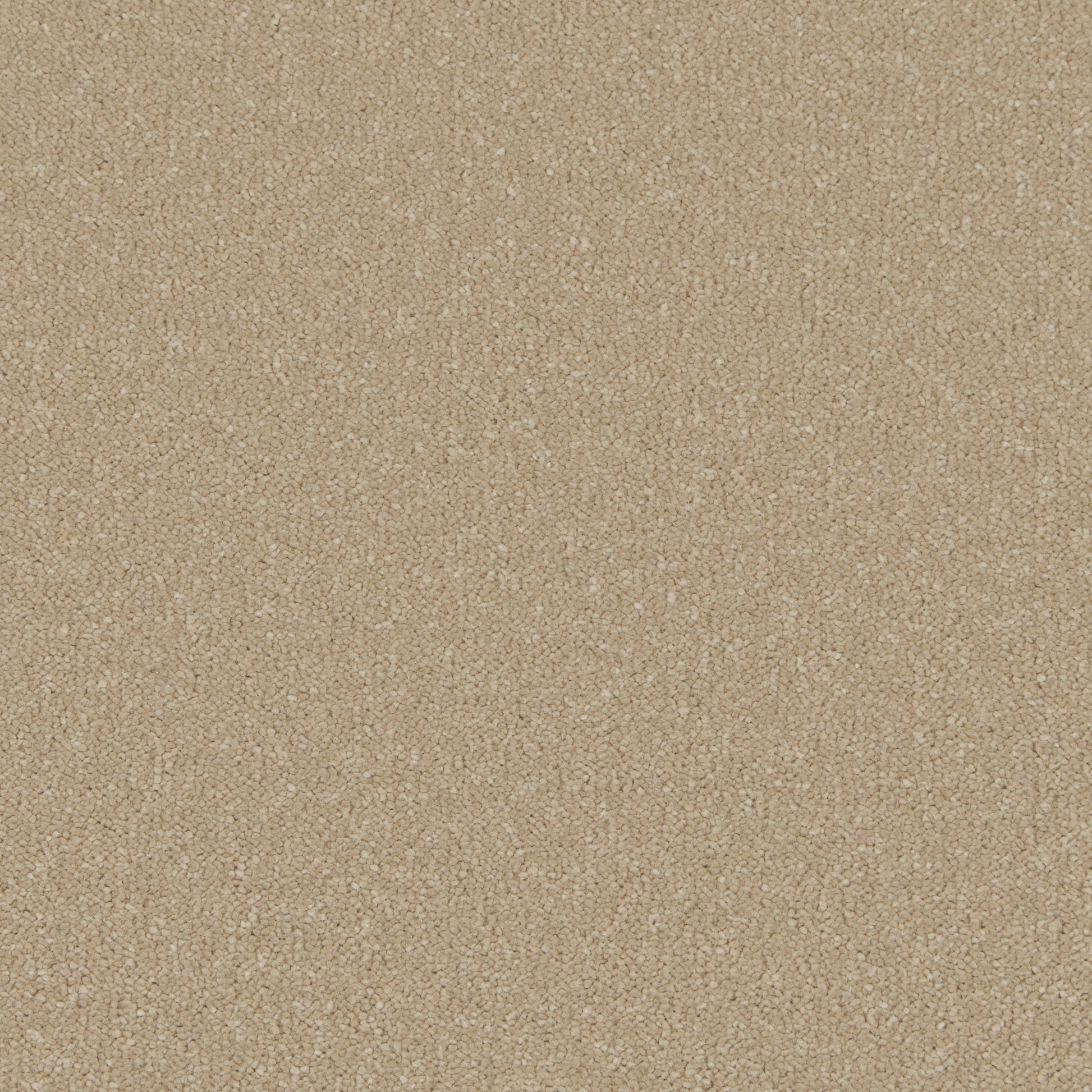 Malt