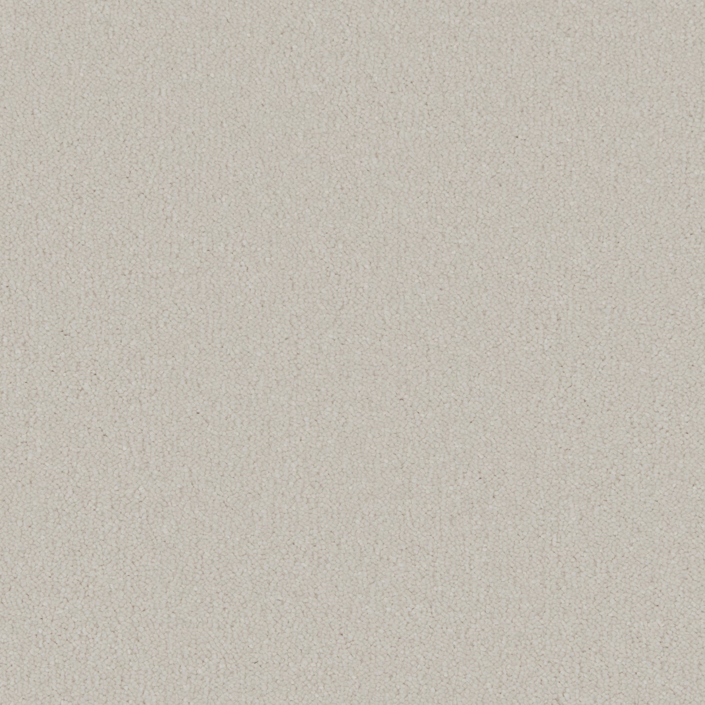 Polar White