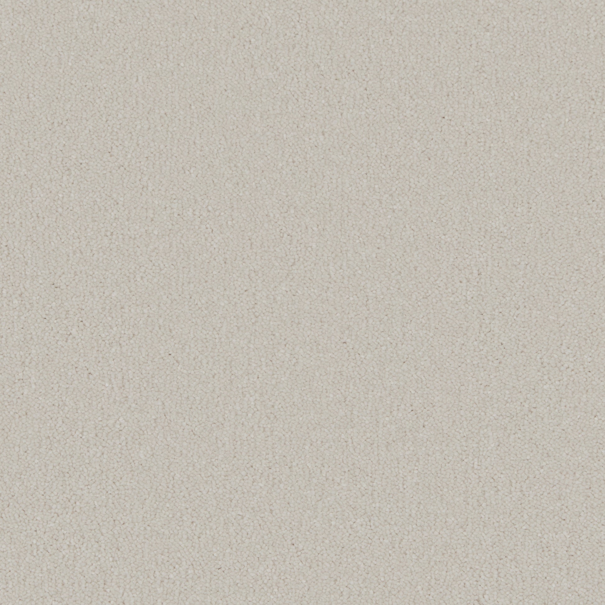 Polar White