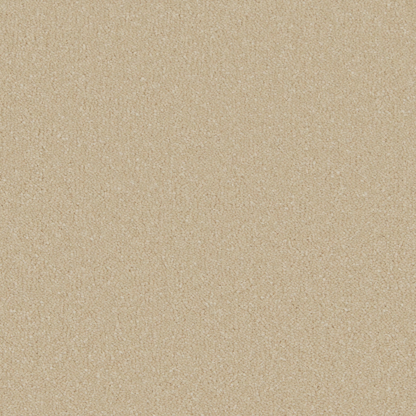 Sand Dune