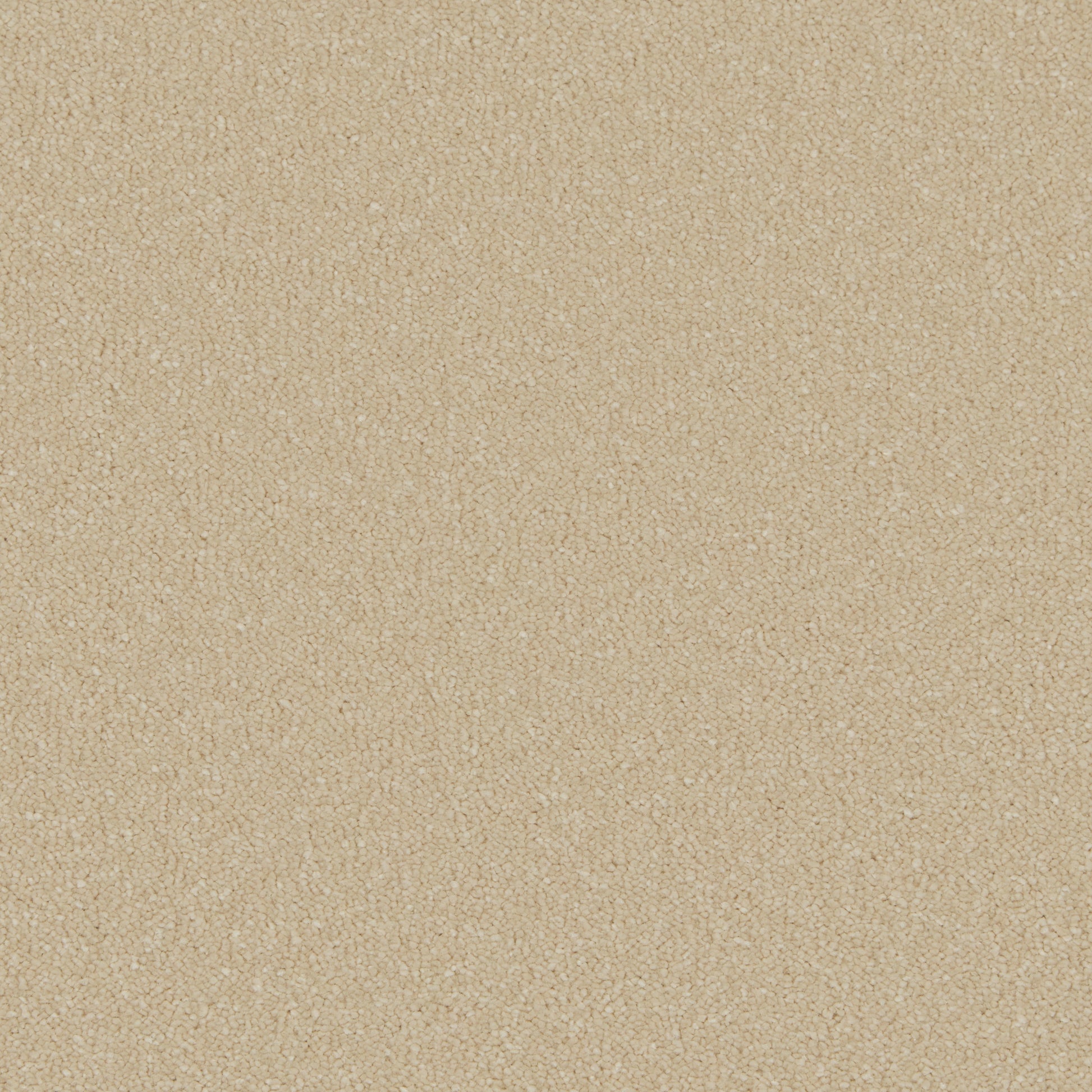 Sand Dune