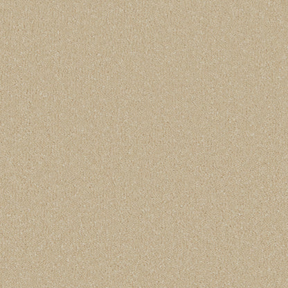 Sand Dune