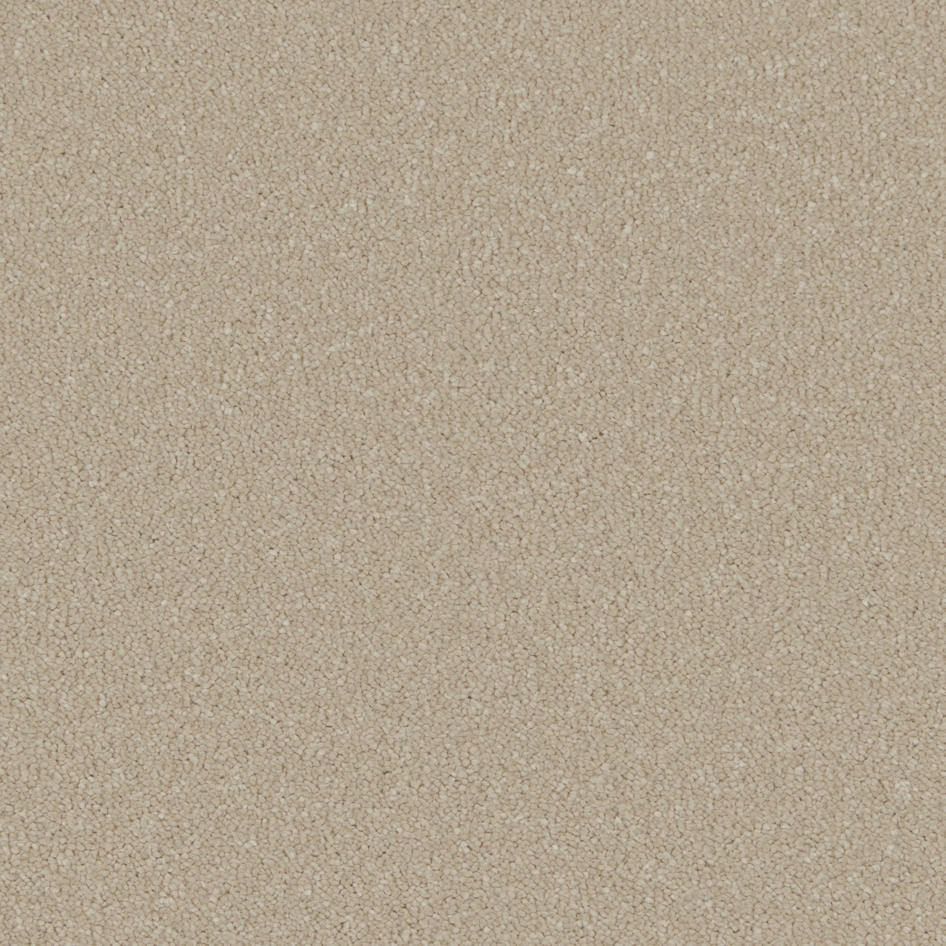 Stucco