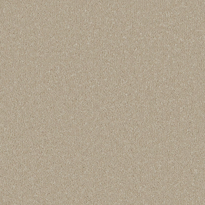 Stucco