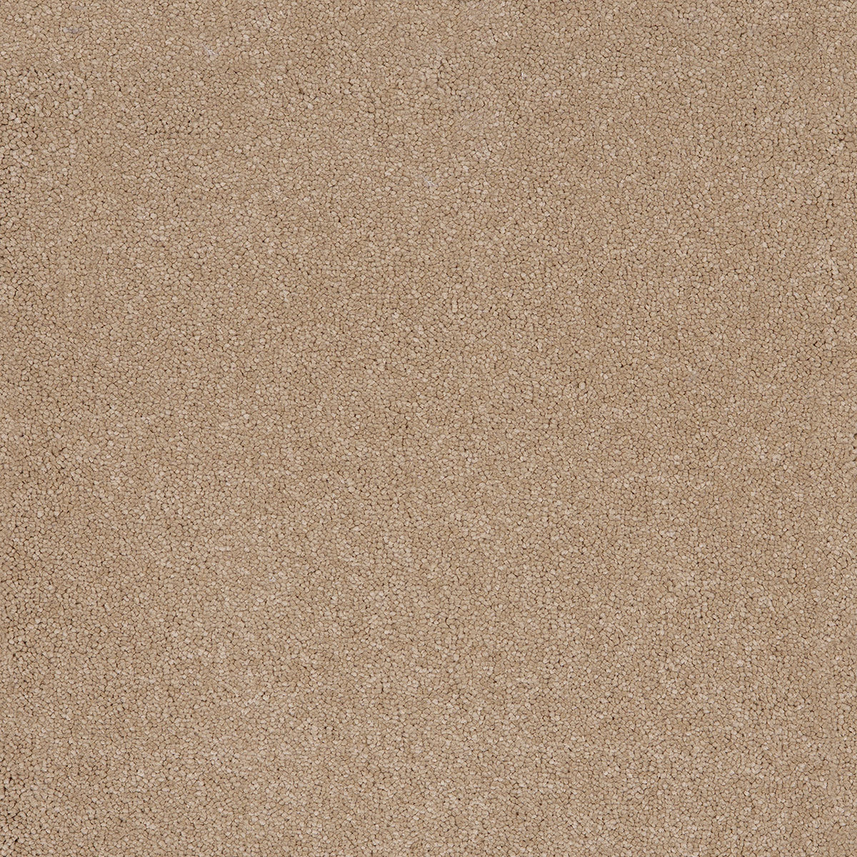 Sandstone