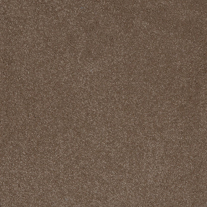 Moleskin