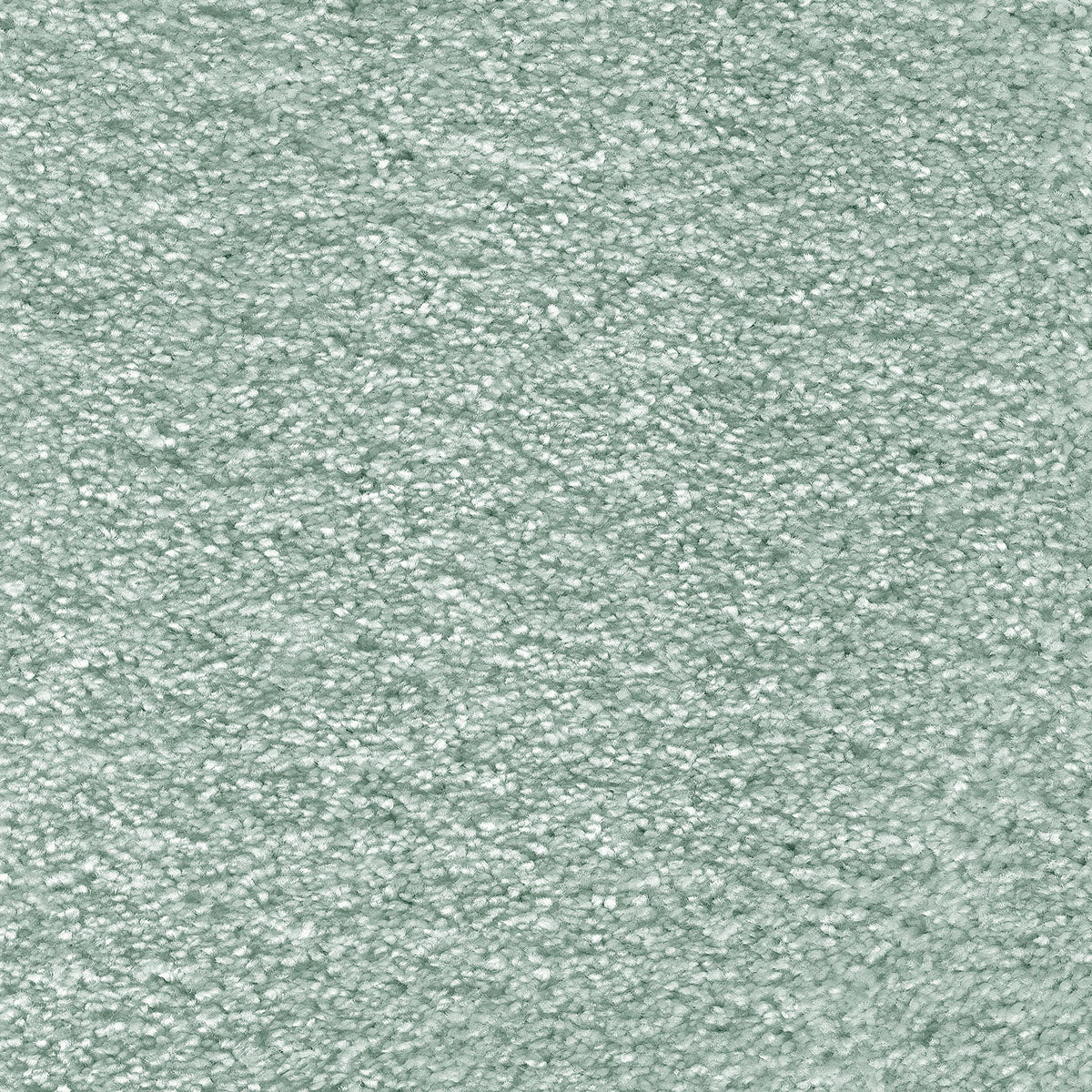 Eucalyptus Leaf