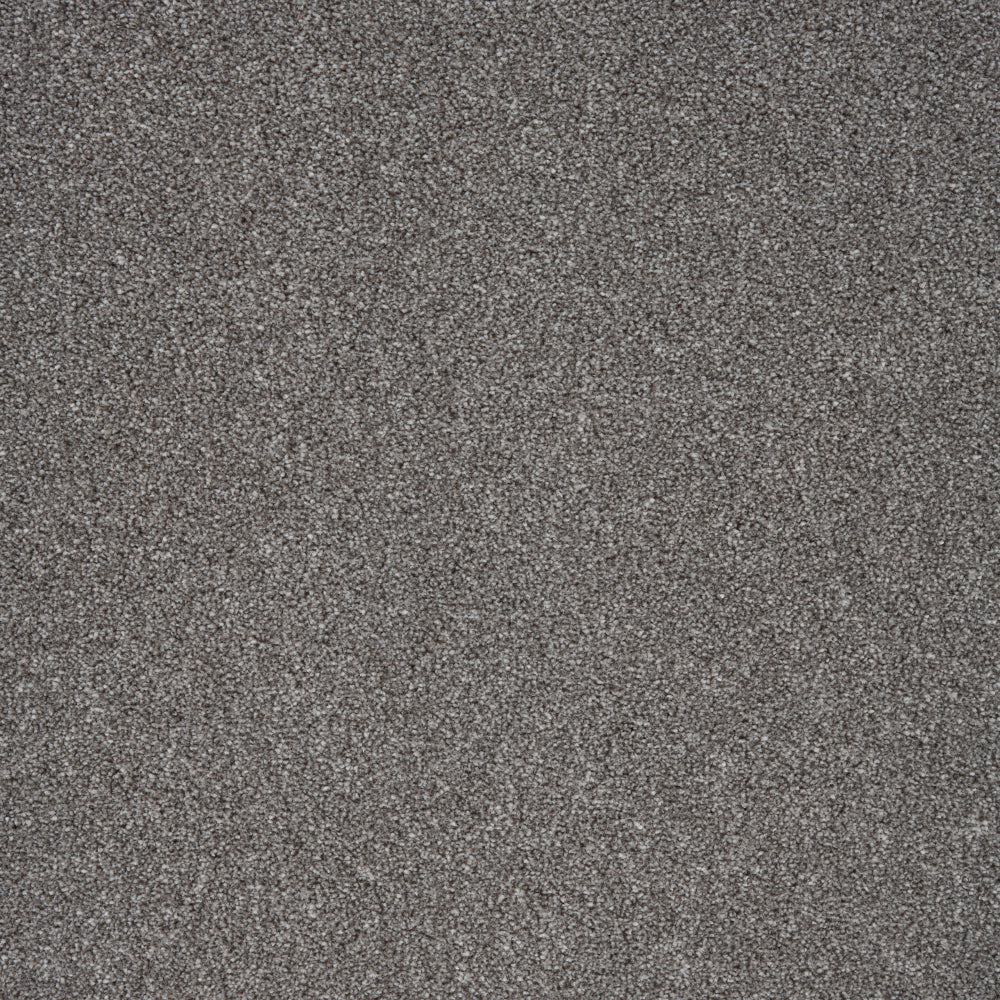 Anchor Grey