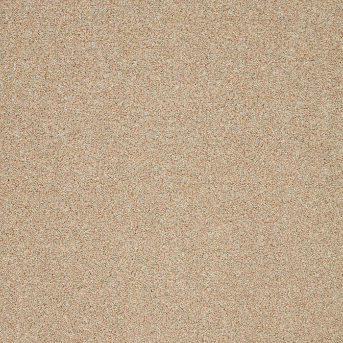 Trinity Easy-Clean Twist Carpet — Cormar