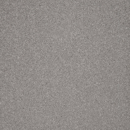 Seagull