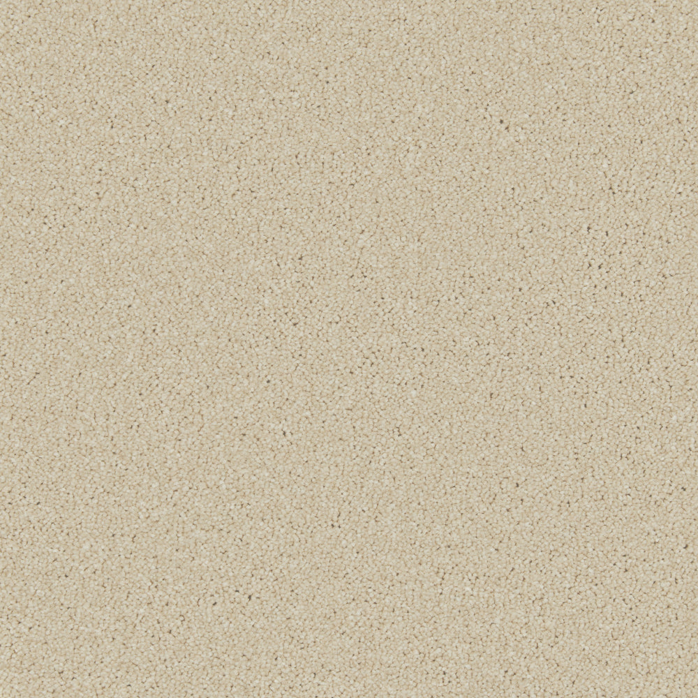 Caribou
