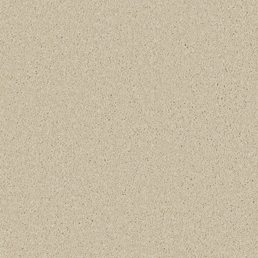 Caribou