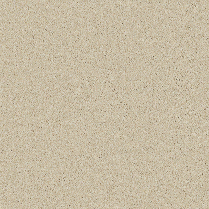 Zenith Easy-Clean Twist Carpet — Cormar