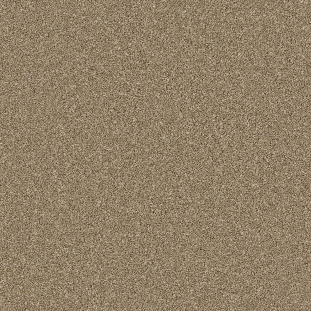 Dark Taupe