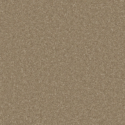 Dark Taupe