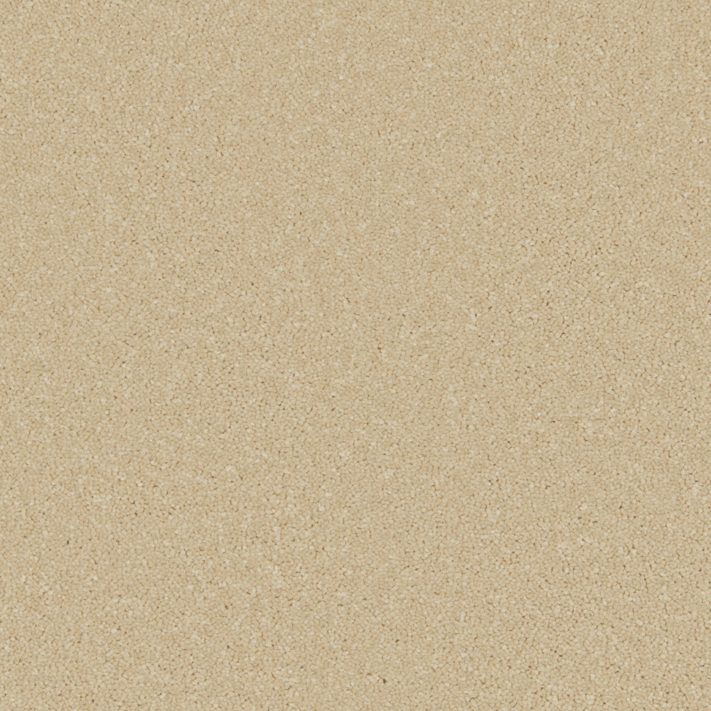 Palomino Gold