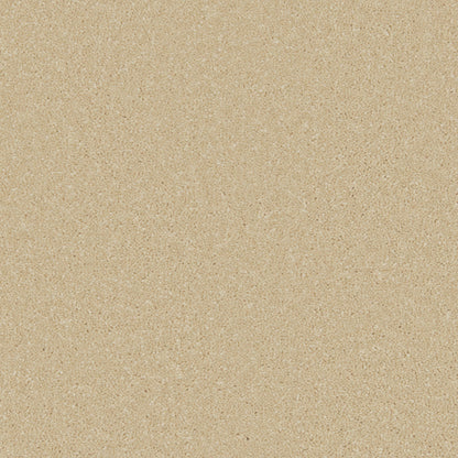 Palomino Gold