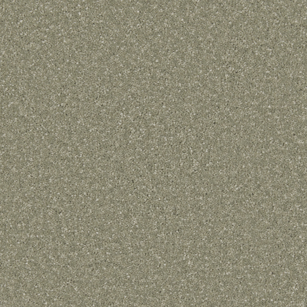 Tuscan Olive