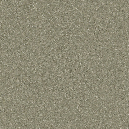 Tuscan Olive